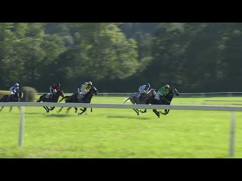 Dostihy Netolice 14. 8. 2022 - 9. dostih - Cena senátora Tomáše Jirsy