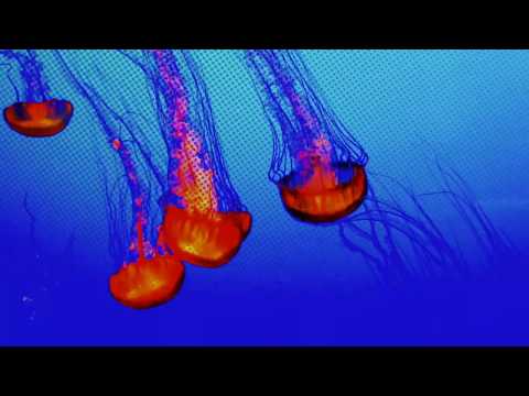 Ole van Dansk & Pulsedriver - Enjoy The Silence (Extended Mix)