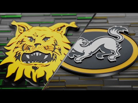 Ottelukooste: Ilves – Kärpät | 30.12.2025