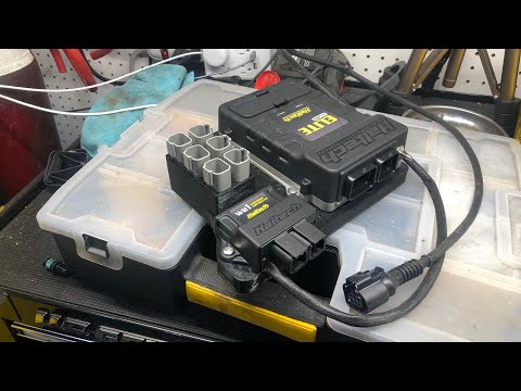 Swapping to Haltech Elite 2500! / LS Swapped S550 Mustang