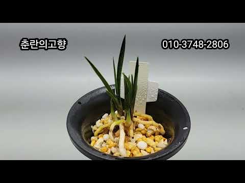 유튜브 썸네일