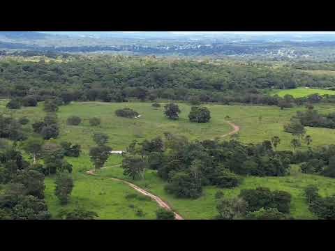 Vende 206 Alqueires a 70 mil o alqueire em São Luís montes Belos -Go