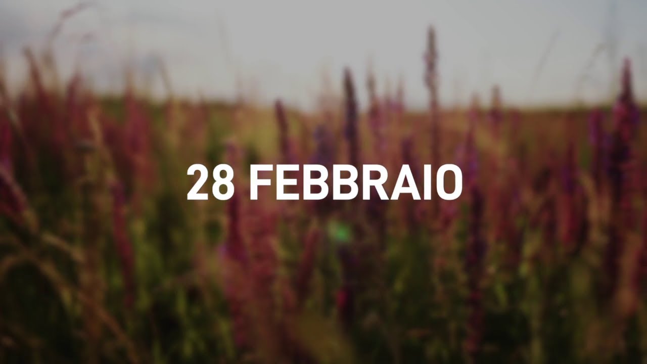 28 Febbraio 2025 | Meditazione Parole di Vita