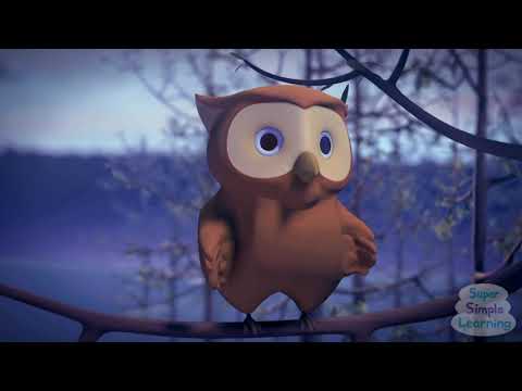 twinkle twinkle little star owl toy