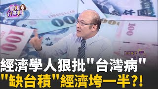 &quot;積木版&quot;101暗諷台經濟脆弱?抽掉&quot;半導體&quot;就會倒?!被診斷&quot;台灣病&quot;?!經濟學人:台灣經濟藏&quot;4大失衡&quot;!│陳斐娟 主持 │20251118│關我什麼事 feat.賴憲政