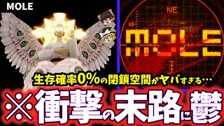 【ゆっくり鬱ゲー解説】2026年最高の狂気で歪んだ終末世界がMouthwashingレベルにヤバすぎる鬱ゲー…【MOLE(後編)】【ホラゲー】