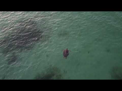 Umm Al quwain beach 27/07/2021