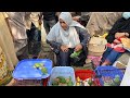 BIGGEST PARROT SUNDAY LALUKHET BIRDS MARKET Urdu Hindi PBI Official