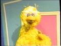 Sesame Street Big Bird Opens A Door