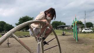 レベルが高過ぎる公園の遊具を発見してしまった