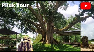 Temple video