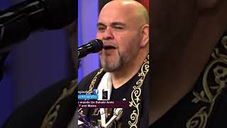 EL PERRO, EL GATO Y YO