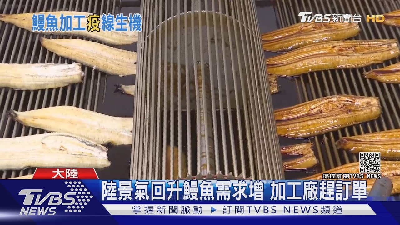 夏天吃鰻旺季!大陸加工品供不應求 日本價格大漲33%