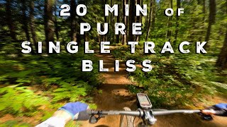 Virtual Forest Flow Ride / Ambient, POV