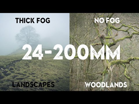 Taking out my new 24-200mm LENS in different conditions