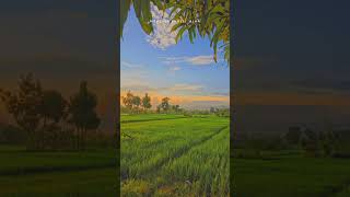 Download lagu Story wa  sholawat Hadroh kece mp3