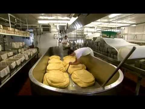Cheese Making Process