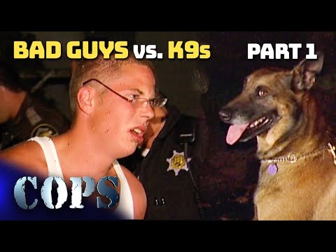 Bad Guys vs. K9s - Part 1 | Compilation | COPS TV SHOW