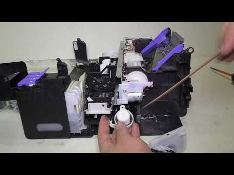 Ремонт и профилактика принтера Epson L3100, L3110, L3101, L3150.