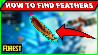 How To Find Feathers in The Forest Game [ FEATHER GUIDE ]