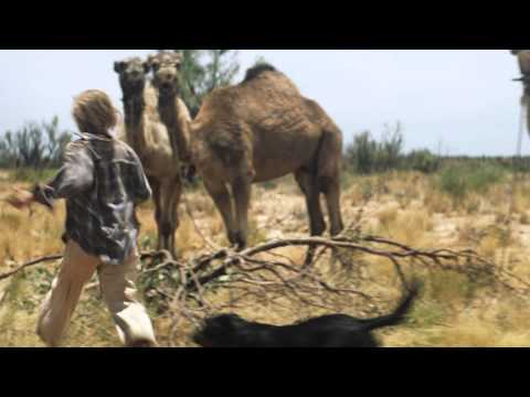 Тропы - Trailer