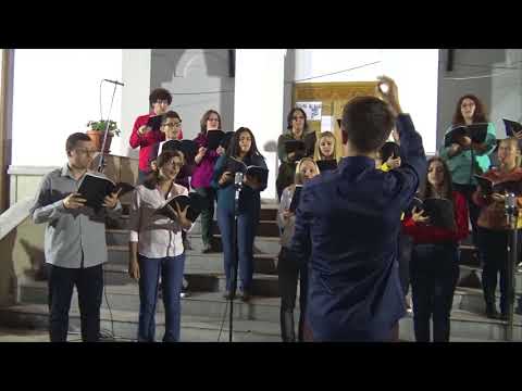 Canticum - Waldgesang - 2017