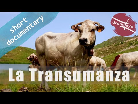 La Transumanza
