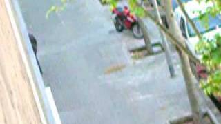 los chichos( EL LOCO DE LA CALLE )