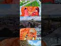 Saptashrungi Mata Status Navratri Status Saptashrungi WhatsAppStatusMarathi 2021 VaniGad