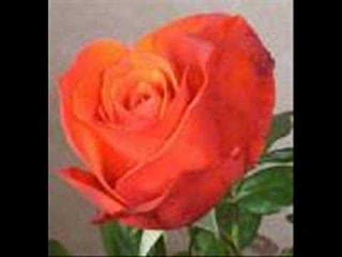 DJ AKMAN FT HAYALET-DİNLEYİN