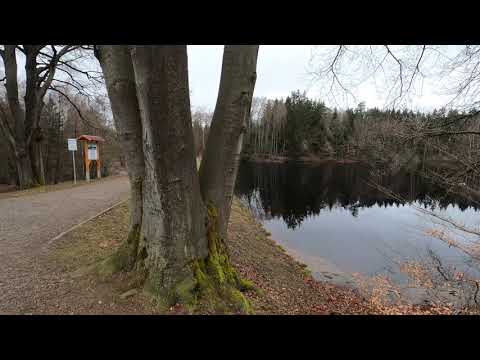 Stempelstelle 190 Bergrat-Müller-Teich - Harzer Wandernadel