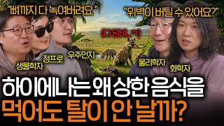 뼈를 통째로 삼켜도 멀쩡한 하이에나의 위장은 얼마나 강력한 걸까? (세균조차 녹이는...) | 과학을 보다 EP.176