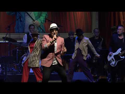 10. Dresdner Neujahrssingen - Marc Ronson/Bruno Mars "Uptown Funk" mit Michael Heinemann