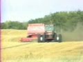 Durum Wheat Harvest with CIH 1682 Combine 