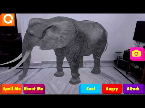 Animals 4D Video