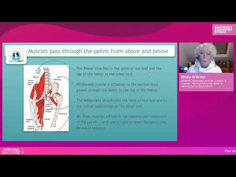 Molly O'Brien -  Love That Birth Physiology