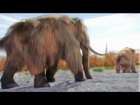 Expedition Deutschland (2/2) Eine Zeitreise durch 500 Millionen Jahre [HD Doku]