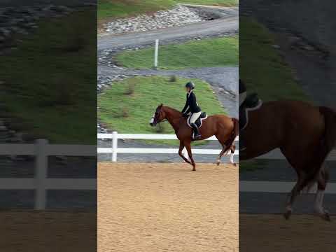 Cooley Limited Edition video 2