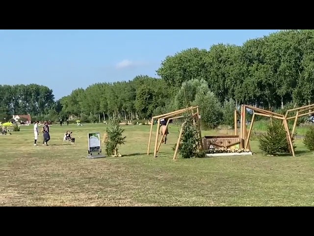 Top ponette de sport CSO / CCE à vendre