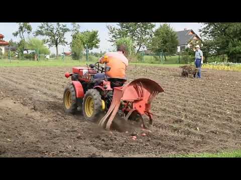 Top 20 Highly Creative People You Need To See