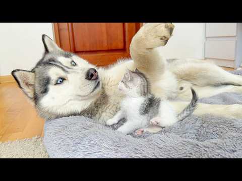 YouTube 썸네일