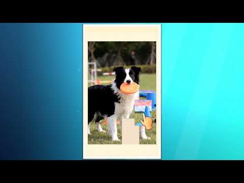 JigVideo - Video Jigsaw Puzzle video thumbnail