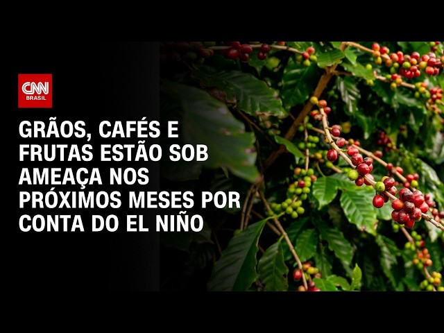 Produção de alimentos em risco: El Niño pode atingir culturas de inverno e verão no Brasil; entenda