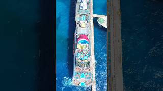 The Most Accurate Cruise Meme Ever! 😂🚢 #CruiseMeme #CruiseAddict  #cruisehumor  #CruiseShorts