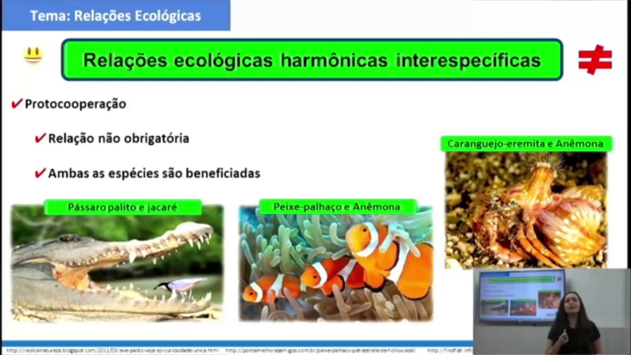 7º Ano | Ciências | Aula 02 - Relações Ecológicas