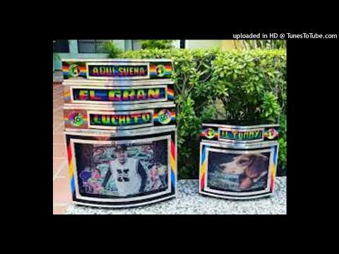 ALBOROTO EN NARIÑO - Africano