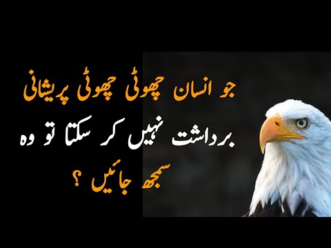 jab insan pareshan ho to kya kare Best islamic quotes in urdu life changing urdu quotes
