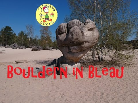 Bouldern in Fontainebleau -  La Roche aux Sabots, Cul de chien bis Segognole C&F VI