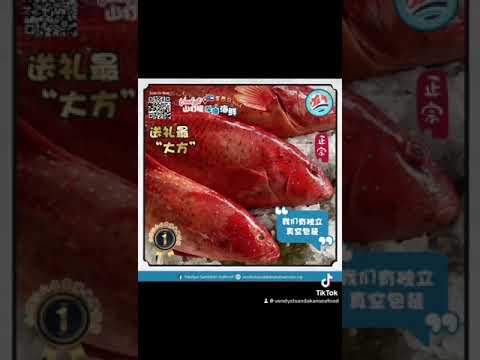 Vendyst #山打根深海海鲜全西马 No1👑.野生深海东星斑/七星斑