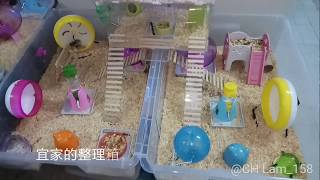 Download lagu [2018/07] 仓鼠村一览, 改建了老公公仓鼠们的家。 mp3
